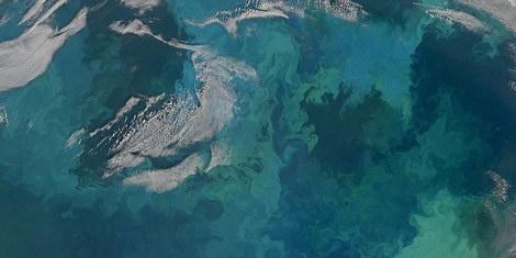 Ocean fertilization is a technique whereby swaths of ocean are “seeded” with iron to promote the growth of phytoplankton