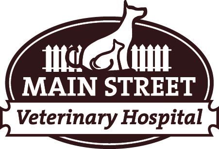 Main Street Vet expands with pet care