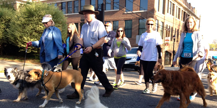 Pawz Too Run is Oct. 10 in Davidson