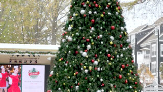 Birkdale Village Christmas tree_JB_6863