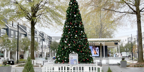 Birkdale Village Christmas tree_JB_6885