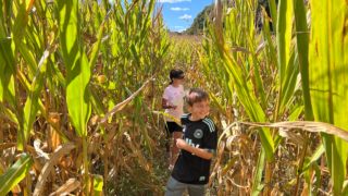 Amazing Maize Maze at Rural Hill / Photo by Jason Benavides