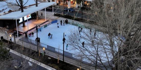 Birkdale on Ice