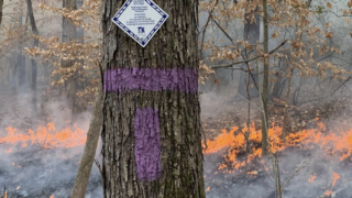 Mecklenburg County Park and Recreation, Natural Resources